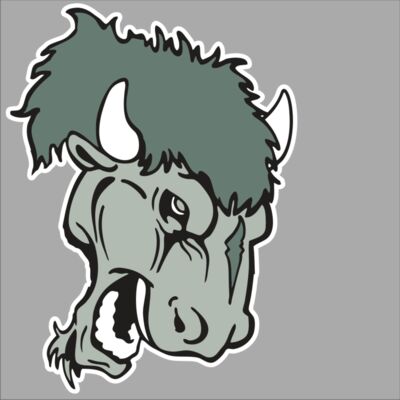 AR BUFFALO 19 RC Thumbnail