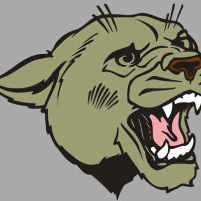 AR COUGAR 40 RC Thumbnail