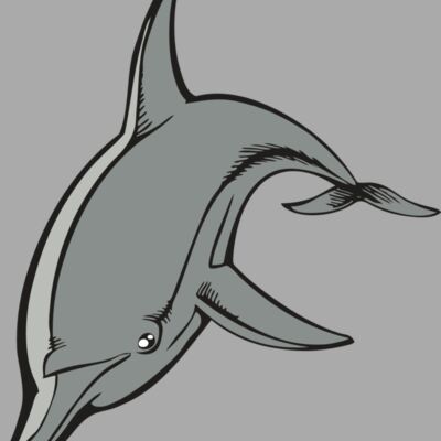 BAW DOLPHIN 03 RC Thumbnail