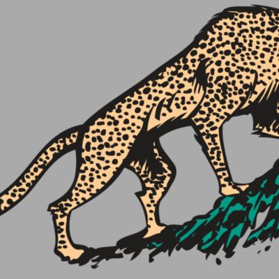 AR CHEETAH 02 RC Thumbnail
