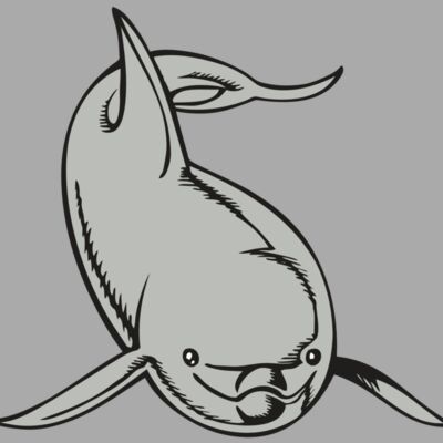 BAW DOLPHIN 02 RC Thumbnail