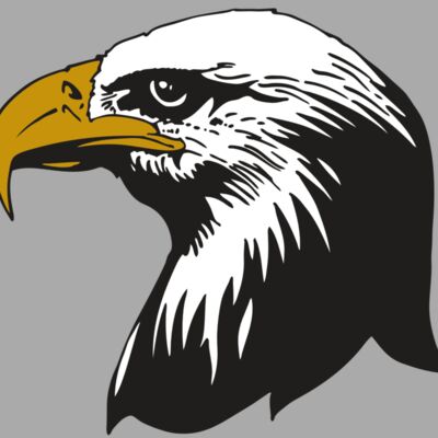 AR EAGLE 87 RC Thumbnail