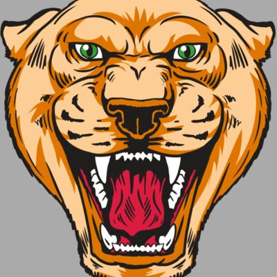 AR13 COUGAR 01 RQC Thumbnail
