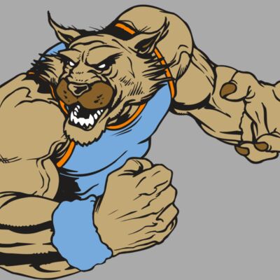AR WILDCAT 46 RC Thumbnail