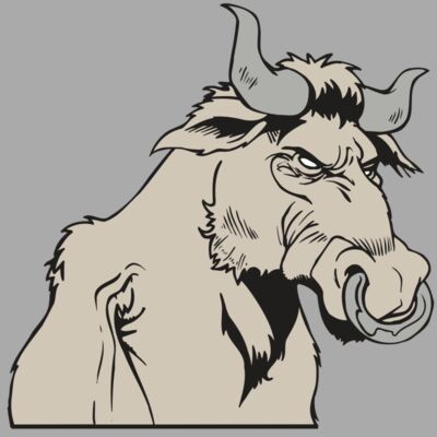 AR5 BULL 08 RQC Thumbnail
