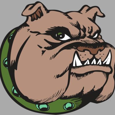 BAW BULLDOG 14 RC Thumbnail