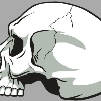 AR24 SKULL 11 RQC Thumbnail