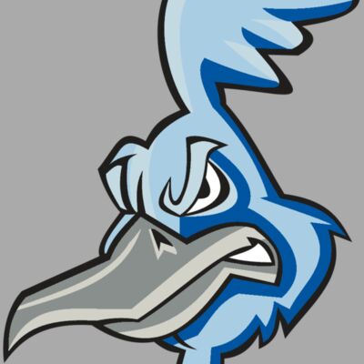 ROADRUNNER HD0501 RQC Thumbnail