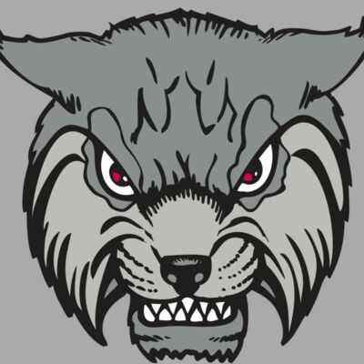 BAW BOBCAT 02 RC Thumbnail