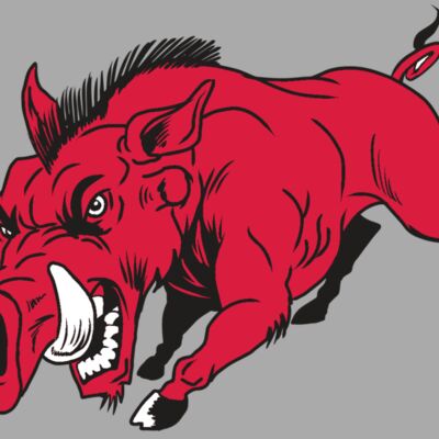 AR22 RAZORBACK 01 RQC Thumbnail