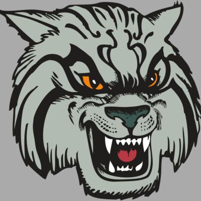 BAW WILDCAT 03 RC Thumbnail