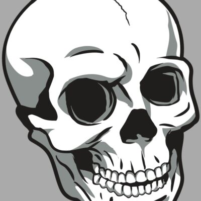 AR24 SKULL 14 RQC Thumbnail