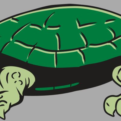 AR32 TURTLE 01 RQC Thumbnail