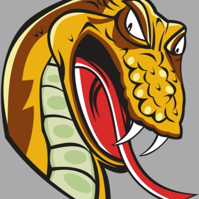 SNAKE HD0502 RQC Thumbnail