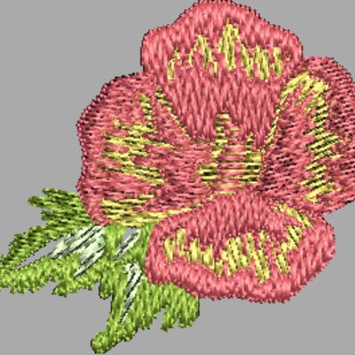 330595 Thumbnail