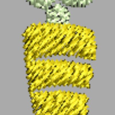 CJ876 Thumbnail